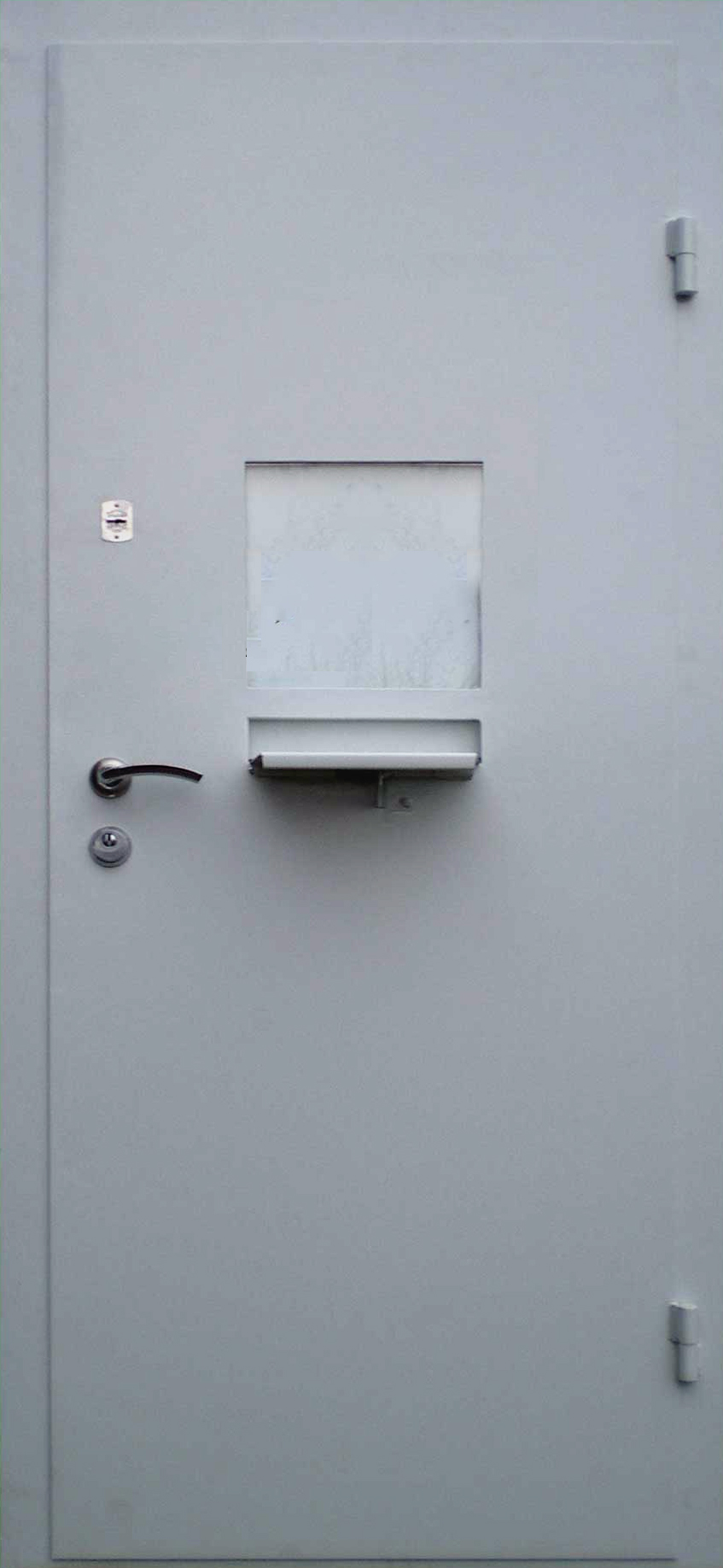 Техническая дверь в кассу ЛД-398 с окном